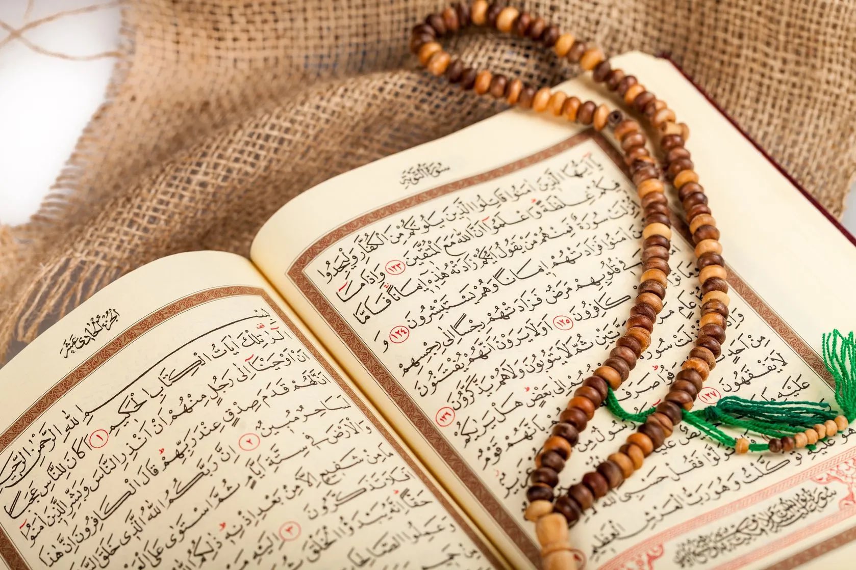 quran-translation-course